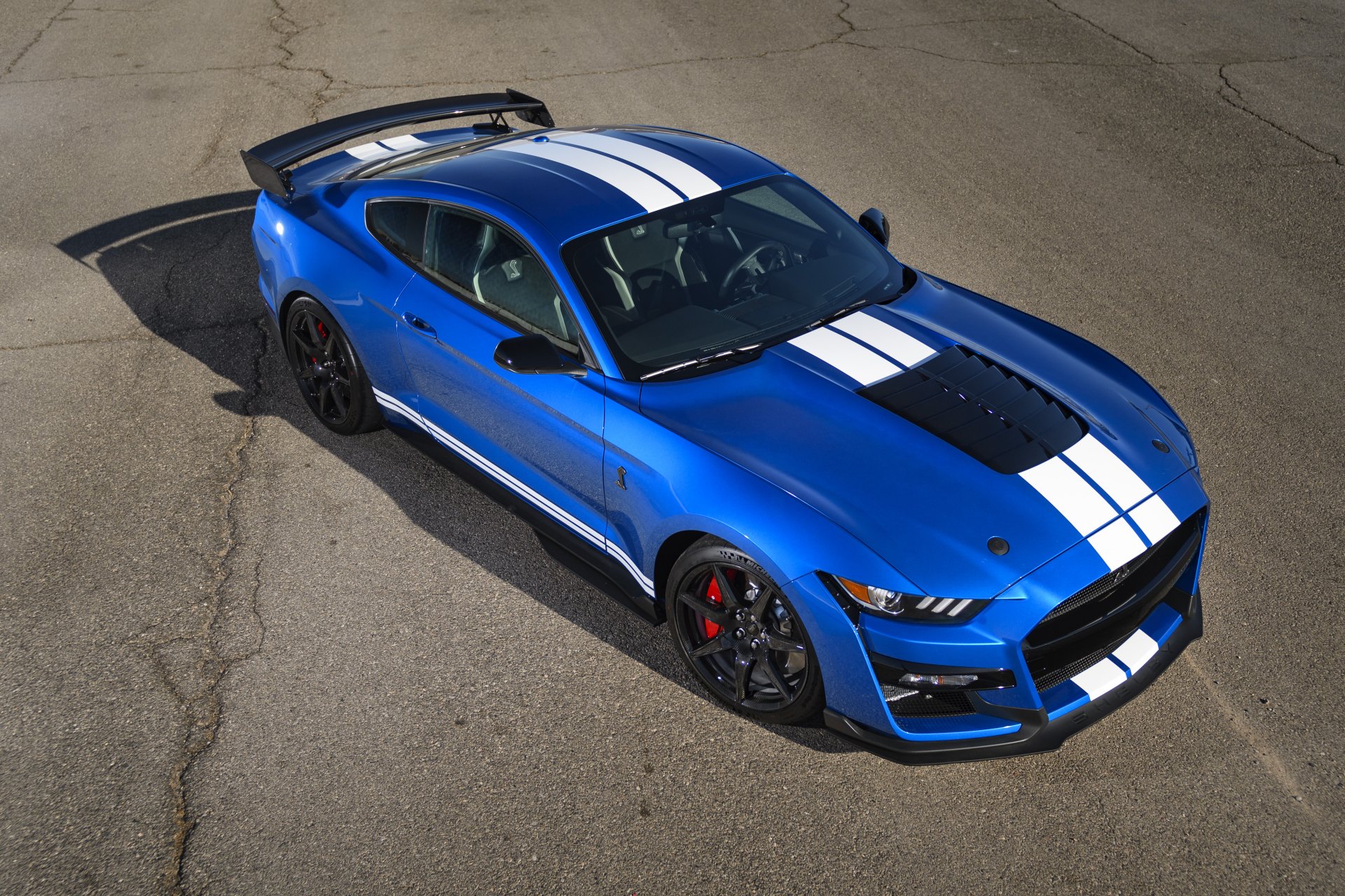 Blue Shelby Mustang Wallpaper 4k - Infoupdate.org