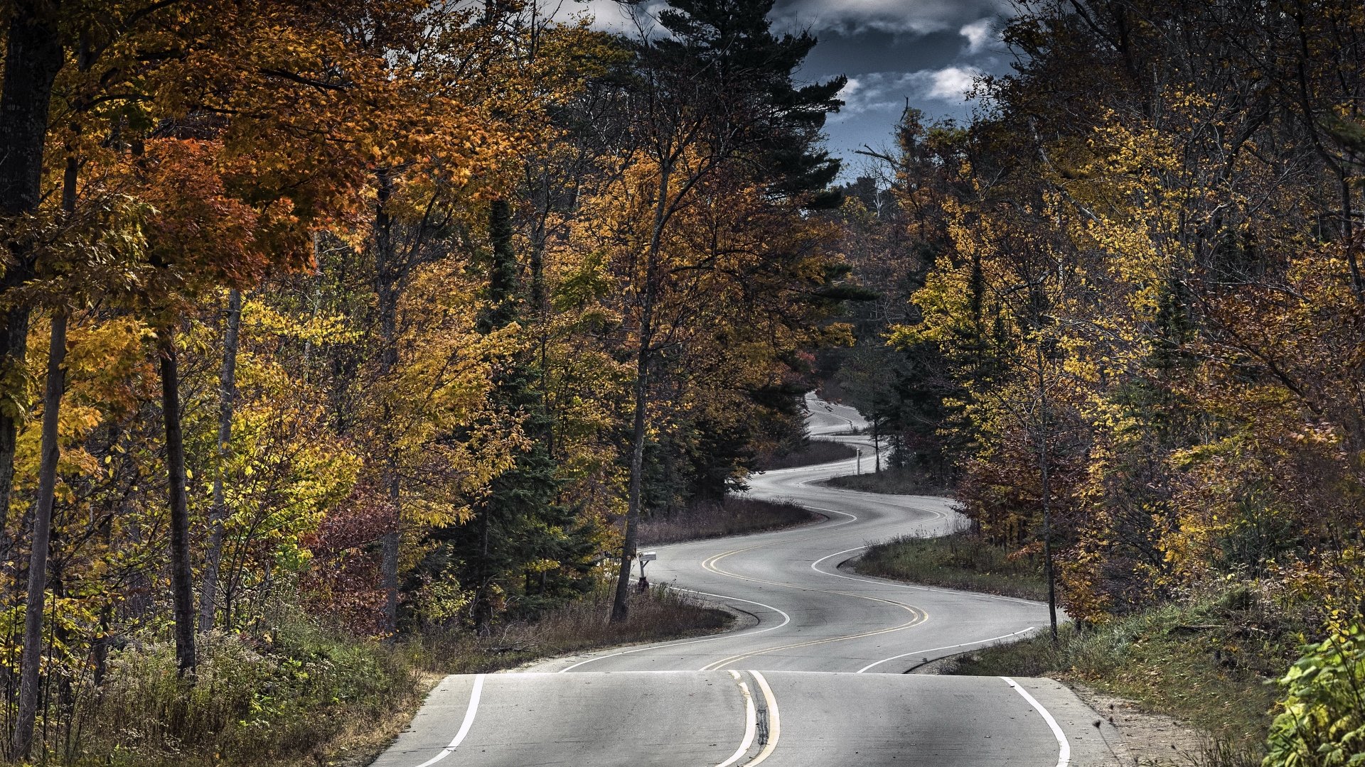 4K Ultra HD PC desktop wallpaper: winding man-made road through an autumn forest, curving asphalt framed by vibrant fall foliage under a brooding sky.