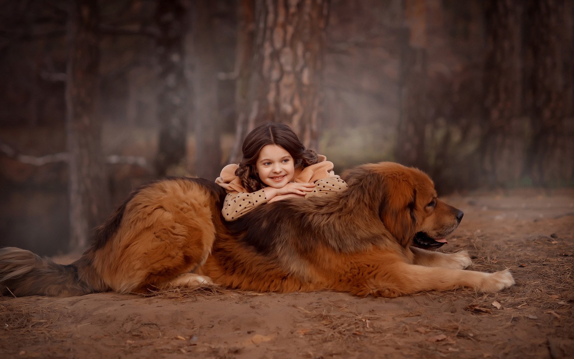 Download Tibetan Mastiff Dog Forest Photography Child HD Wallpaper by Valentina Ermilova