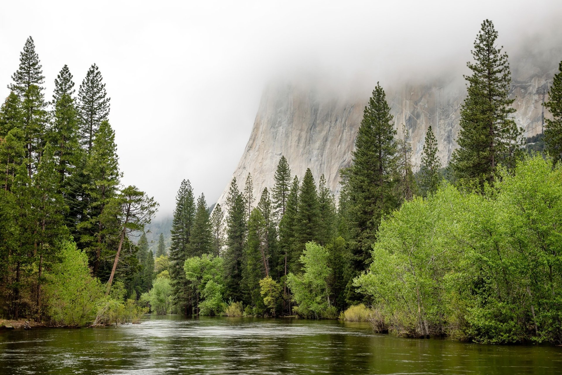 HD desktop wallpaper showcasing lush green trees along a serene river with mist-covered granite cliffs in Yosemite National Park's natural landscape.