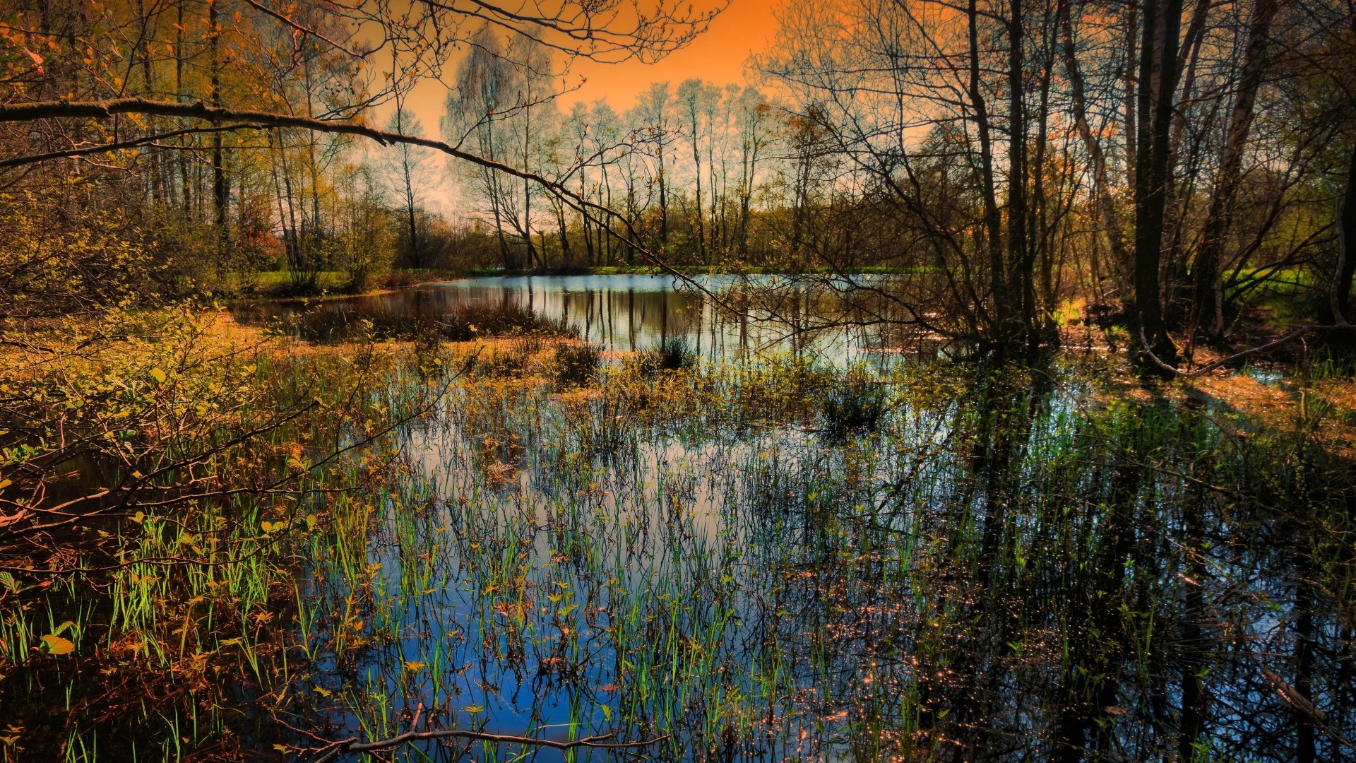 Download River Nature Forest Fall 4k Ultra HD Wallpaper | 3840x2160 ...