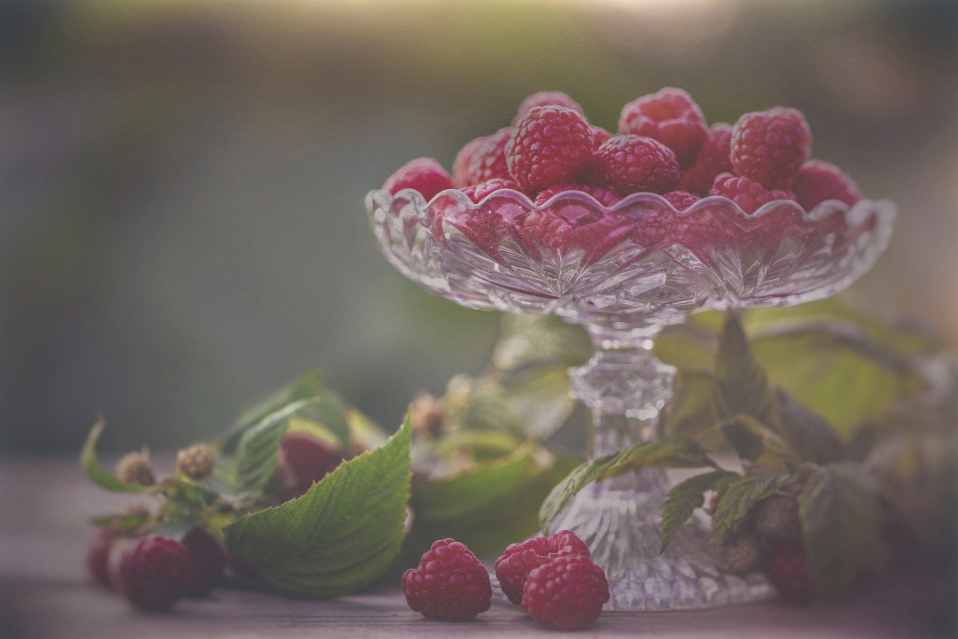Download Fruit Berry Food Raspberry HD Wallpaper | 3000x2001 ...
