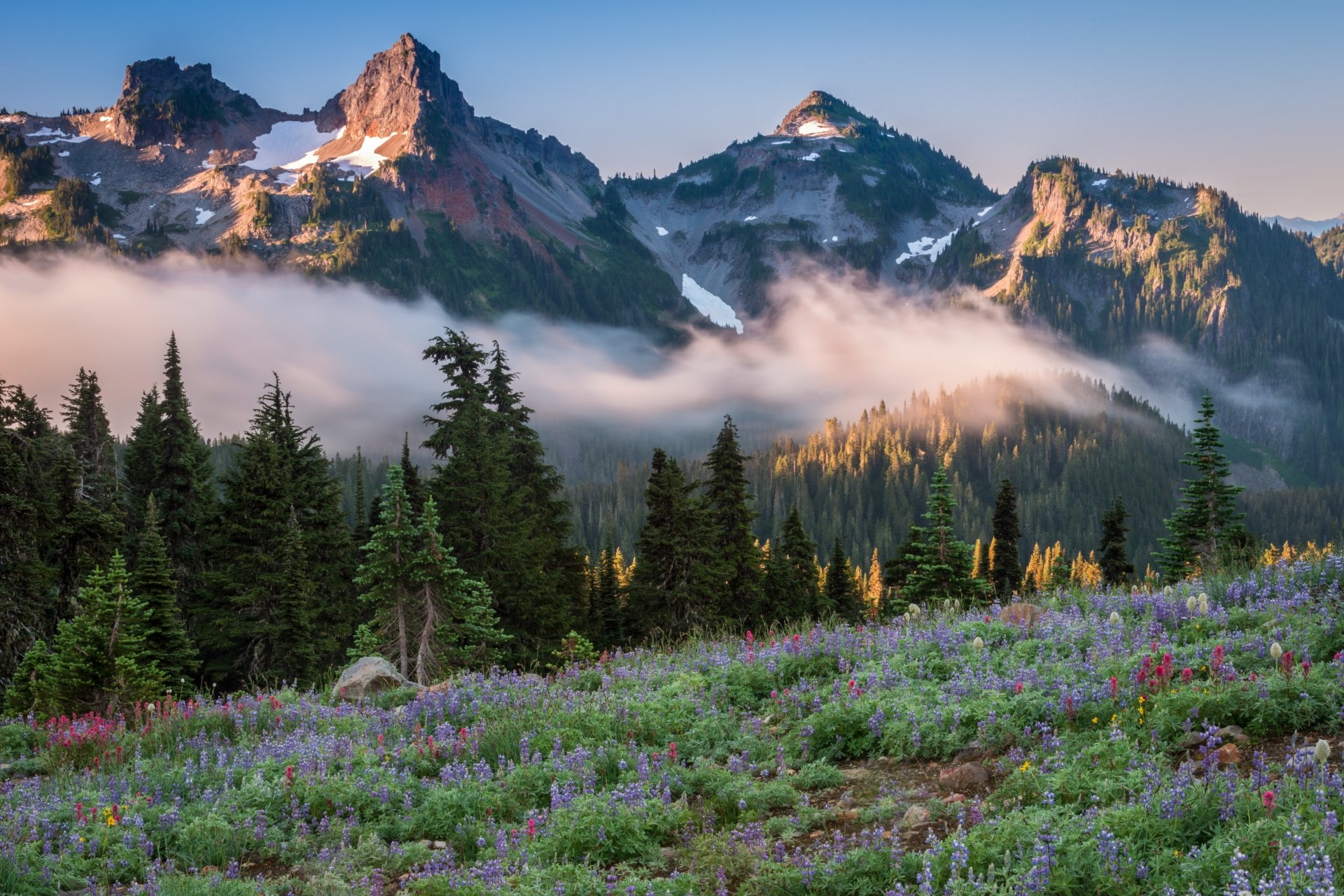 Download Meadow Lake Fog Mountain Landscape Forest National Park Nature ...