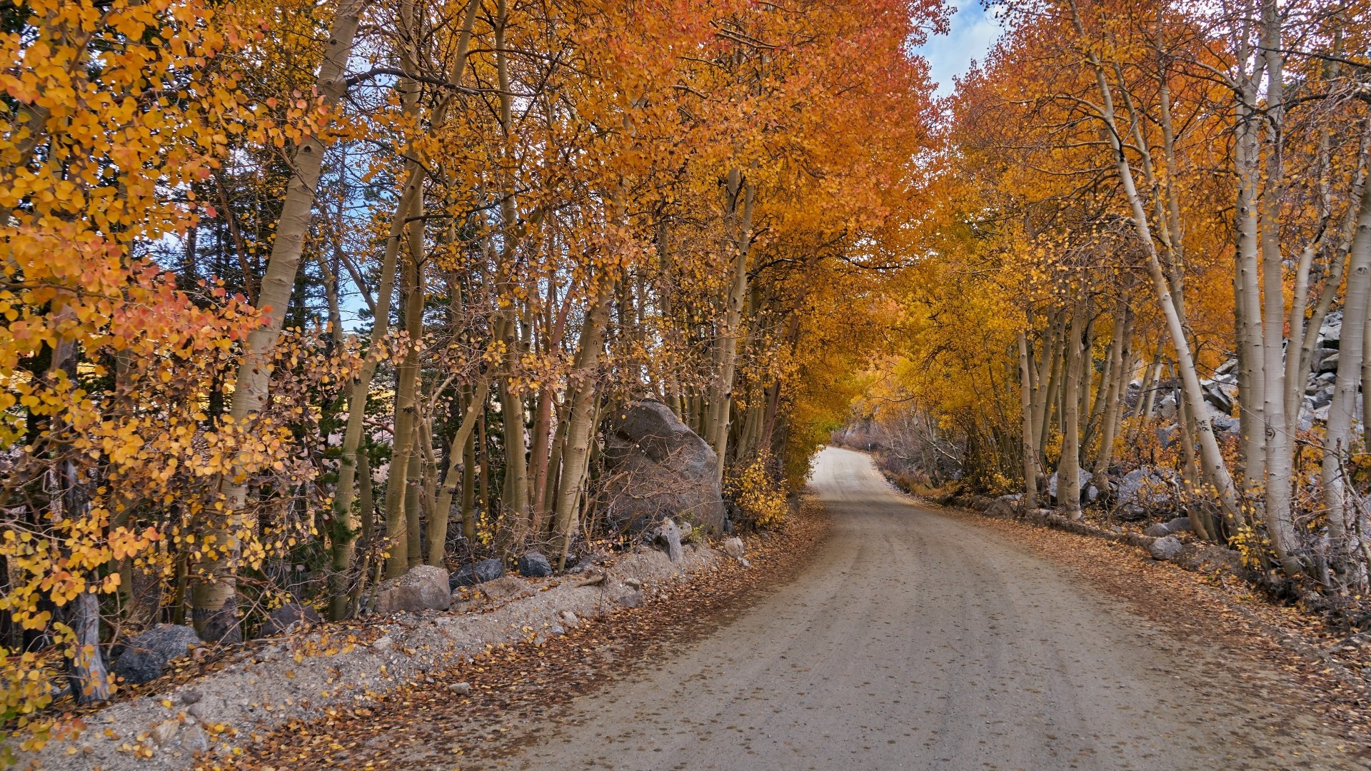 Download Forest Fall Man Made Road 4k Ultra HD Wallpaper | 3840x2160 ...