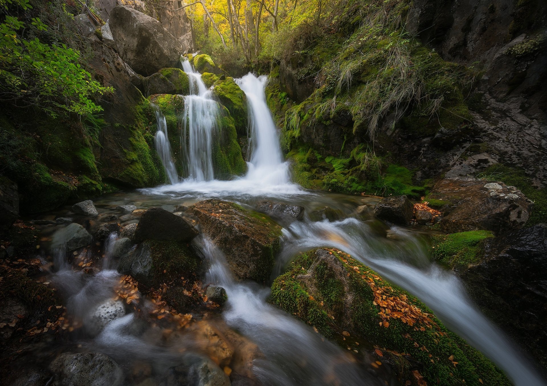 HD desktop wallpaper of a stunning waterfall surrounded by lush greenery in Argentina’s natural landscape.