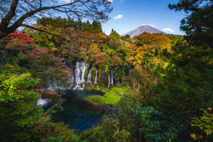 HD PC desktop wallpaper: Shiraito Falls, Japan — waterfall tumbling into a clear lake amid vivid autumn forest, showcasing serene natural scenery.