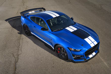 2019 Blue Shelby GT500