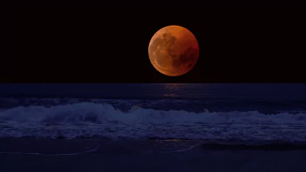  Blood Moon near the Horizon