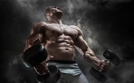 muscle bodybuilding Sports HD Desktop Wallpaper | Background Image