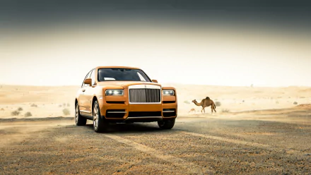 desert orange car SUV car Rolls-Royce vehicle Rolls-Royce Cullinan HD Desktop Wallpaper | Background Image