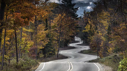 4K Ultra HD PC desktop wallpaper: winding man-made road through an autumn forest, curving asphalt framed by vibrant fall foliage under a brooding sky.