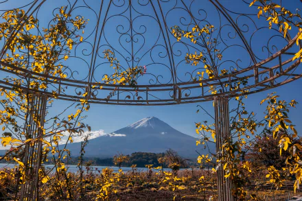 Fujiyama nature Mount Fuji HD Desktop Wallpaper | Background Image