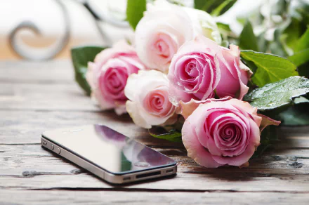 smartphone bouquet rose photography still life HD Desktop Wallpaper | Background Image