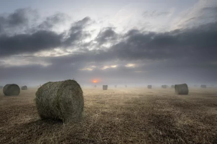 straw fog nature haystack HD Desktop Wallpaper | Background Image