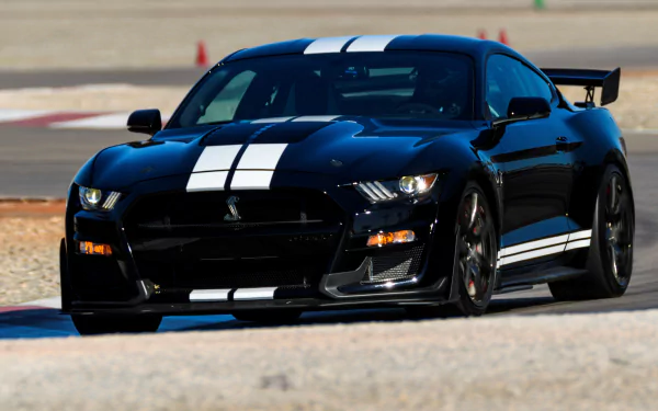  2019 Shelby GT500