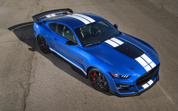 Blue Ford Mustang Shelby GT500 with white racing stripes on asphalt — 5K Ultra HD PC desktop wallpaper and background showcasing the Ford performance vehicle.
