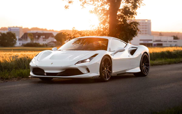 supercar white car Ferrari car vehicle Ferrari F8 Tributo HD Desktop Wallpaper | Background Image