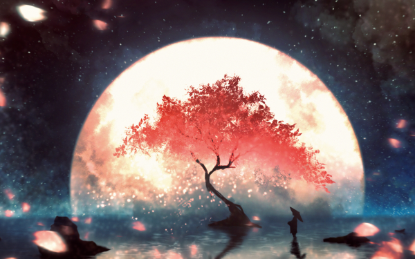 Anime Tree Sky Starry Sky Sakura Moon HD Wallpaper | Background Image