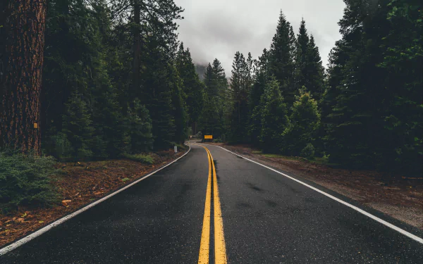 4K Ultra HD desktop wallpaper featuring a man-made highway cutting through a dense green forest under a moody sky.