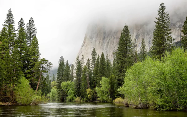 HD desktop wallpaper showcasing lush green trees along a serene river with mist-covered granite cliffs in Yosemite National Park's natural landscape.