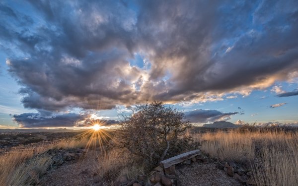 Earth Landscape Tree Sunset Sunbeam HD Wallpaper | Background Image