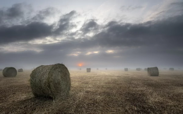 straw fog nature haystack HD Desktop Wallpaper | Background Image
