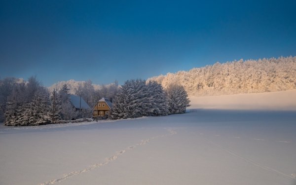 Photography Winter Forest Sky Footprint House Snow HD Wallpaper | Background Image