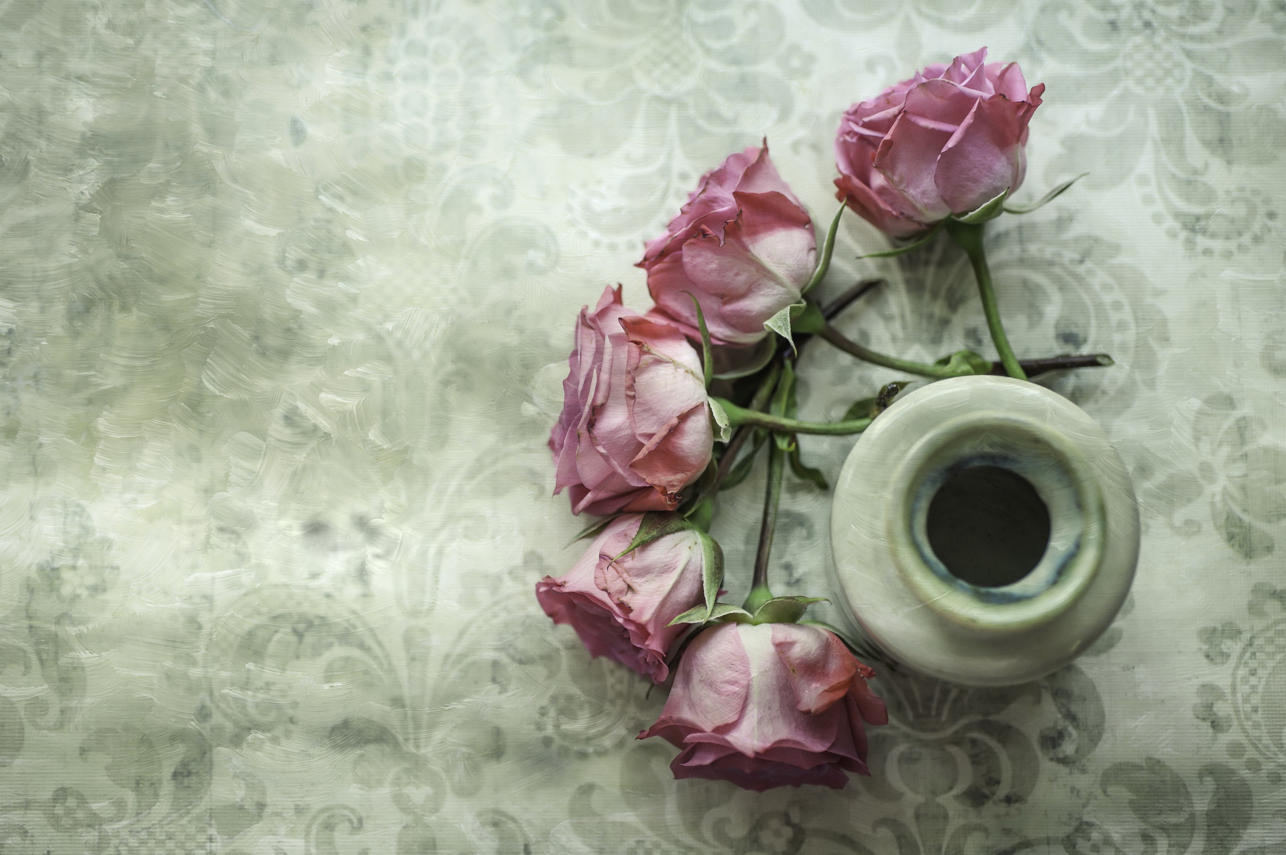 Download Rose Photography Still Life 4k Ultra HD Wallpaper