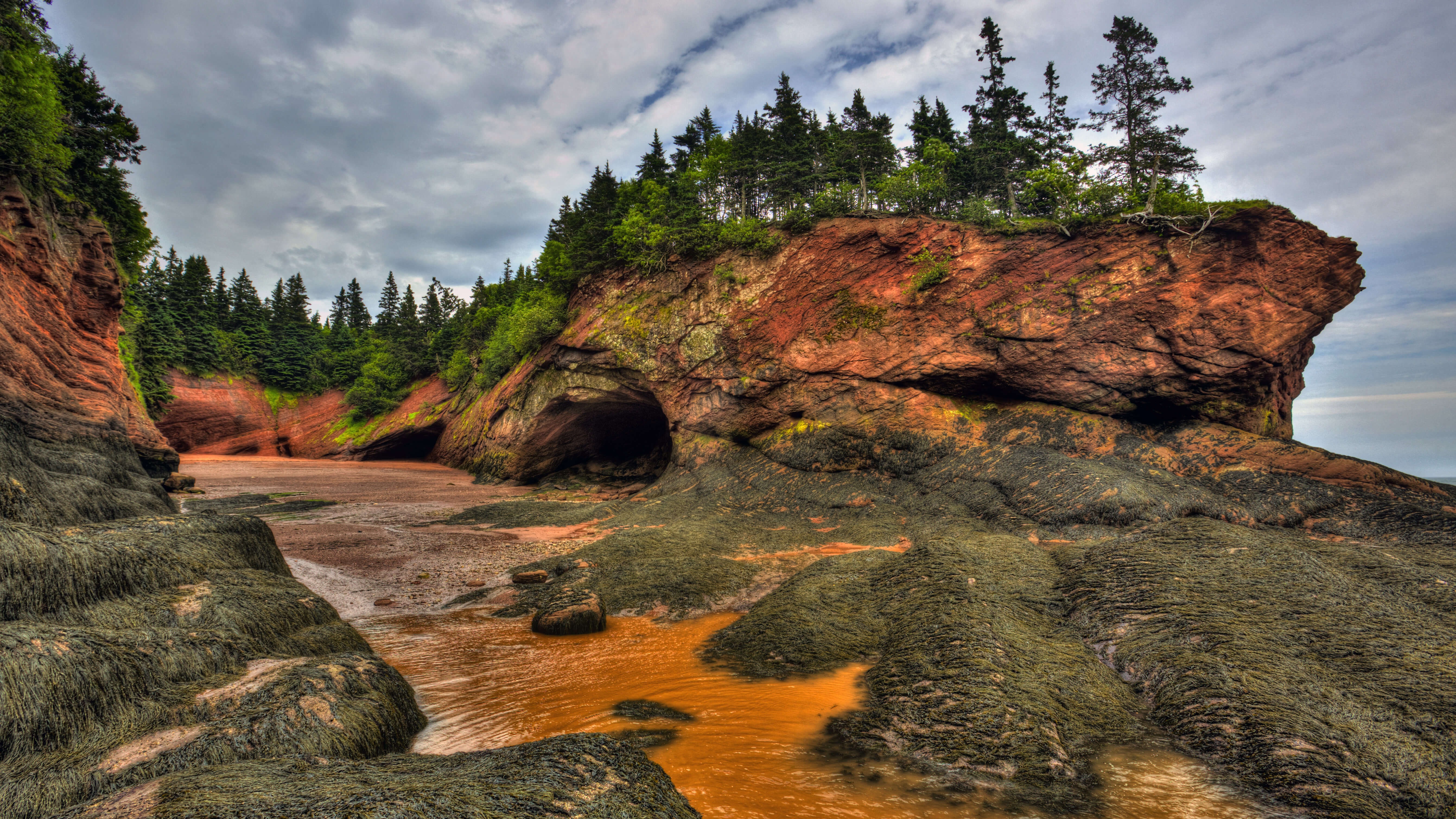 The Bay of Fundy, New Brunswick, Canada by Jamie Roach