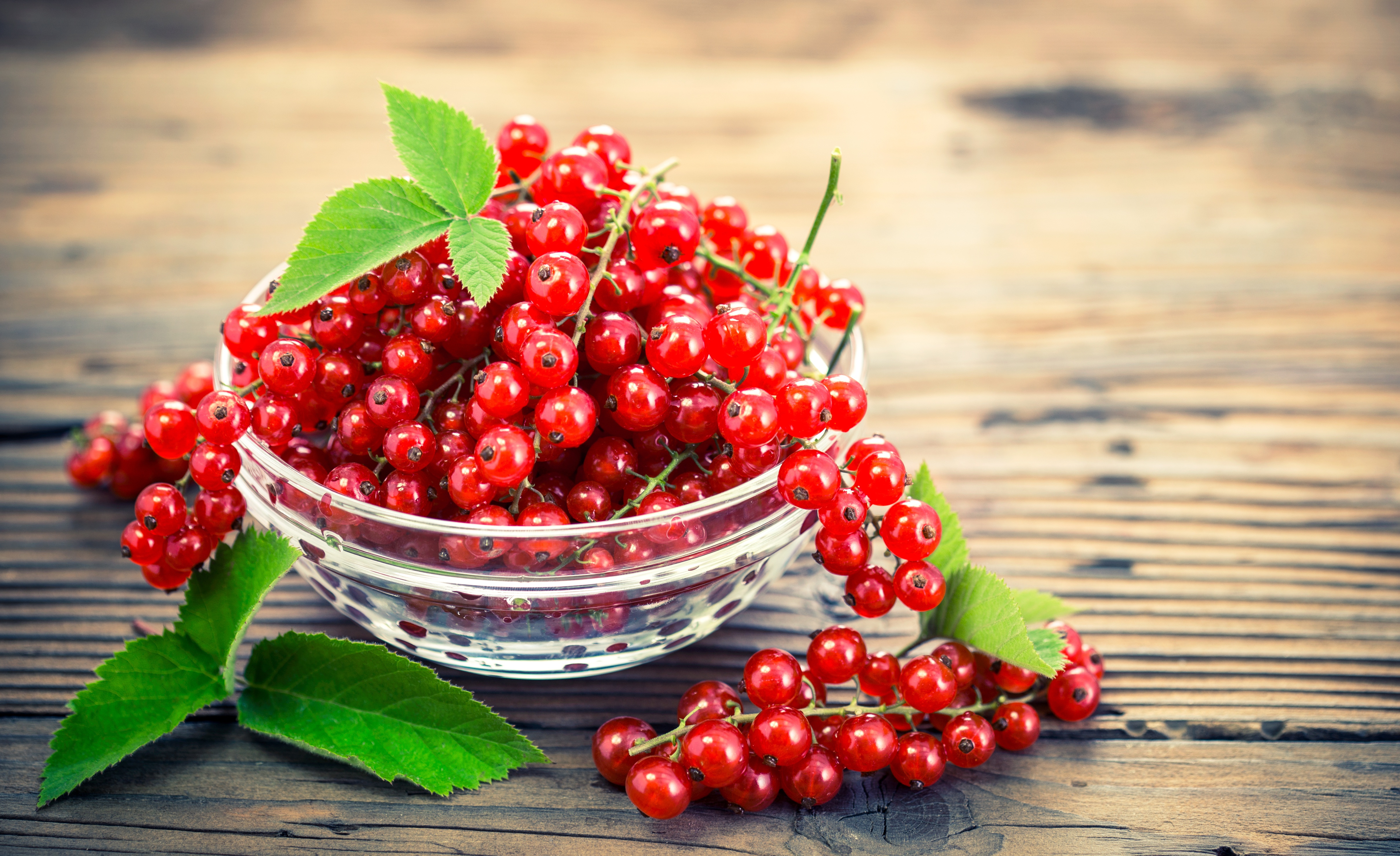 Download Food Currants HD Wallpaper