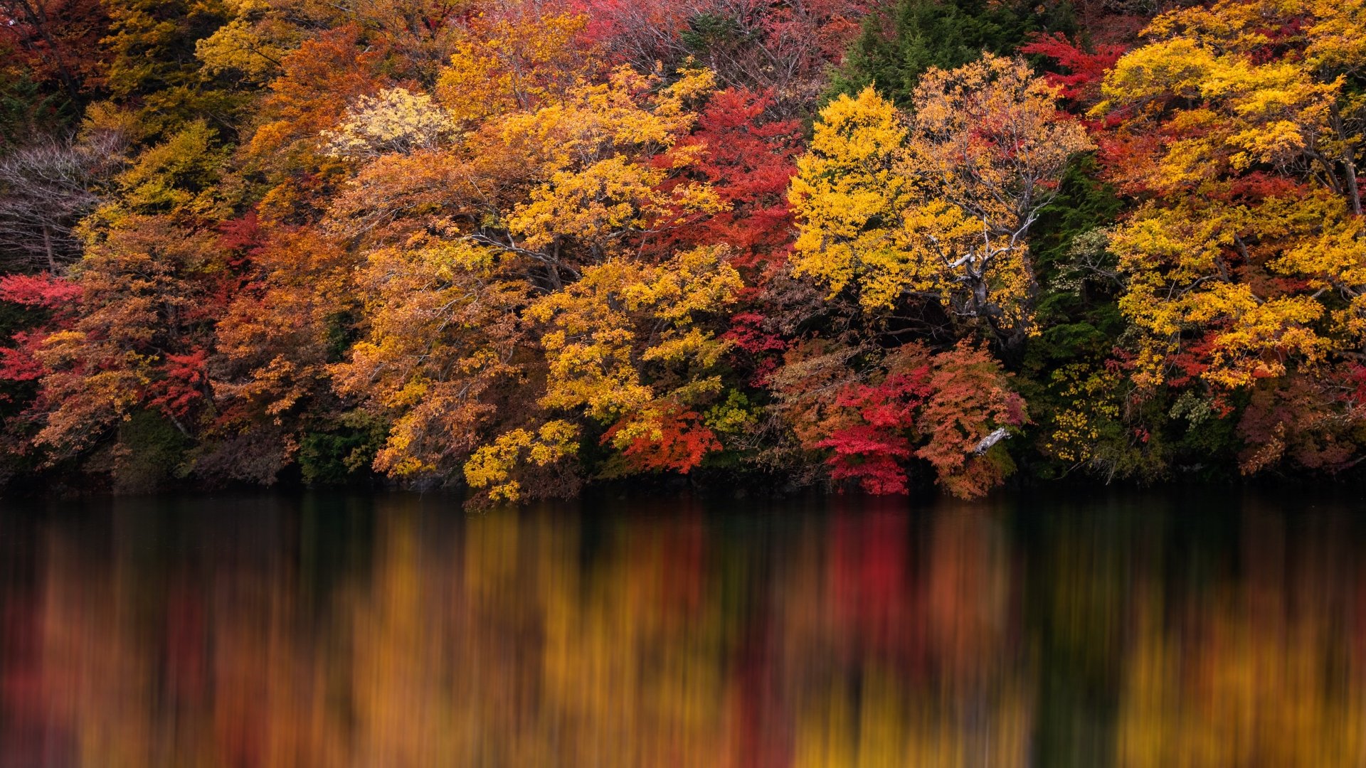 Download Reflection Lake Nature Fall 4k Ultra HD Wallpaper