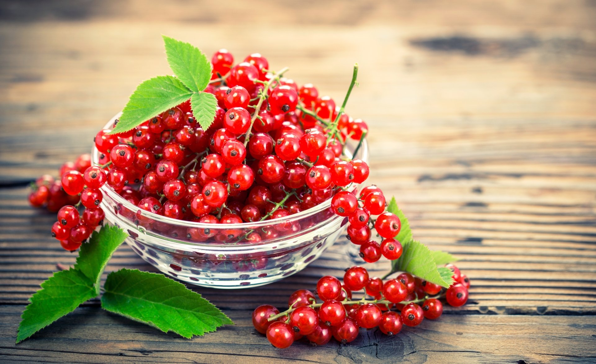 Download Berry Fruit Food Currants 4k Ultra HD Wallpaper