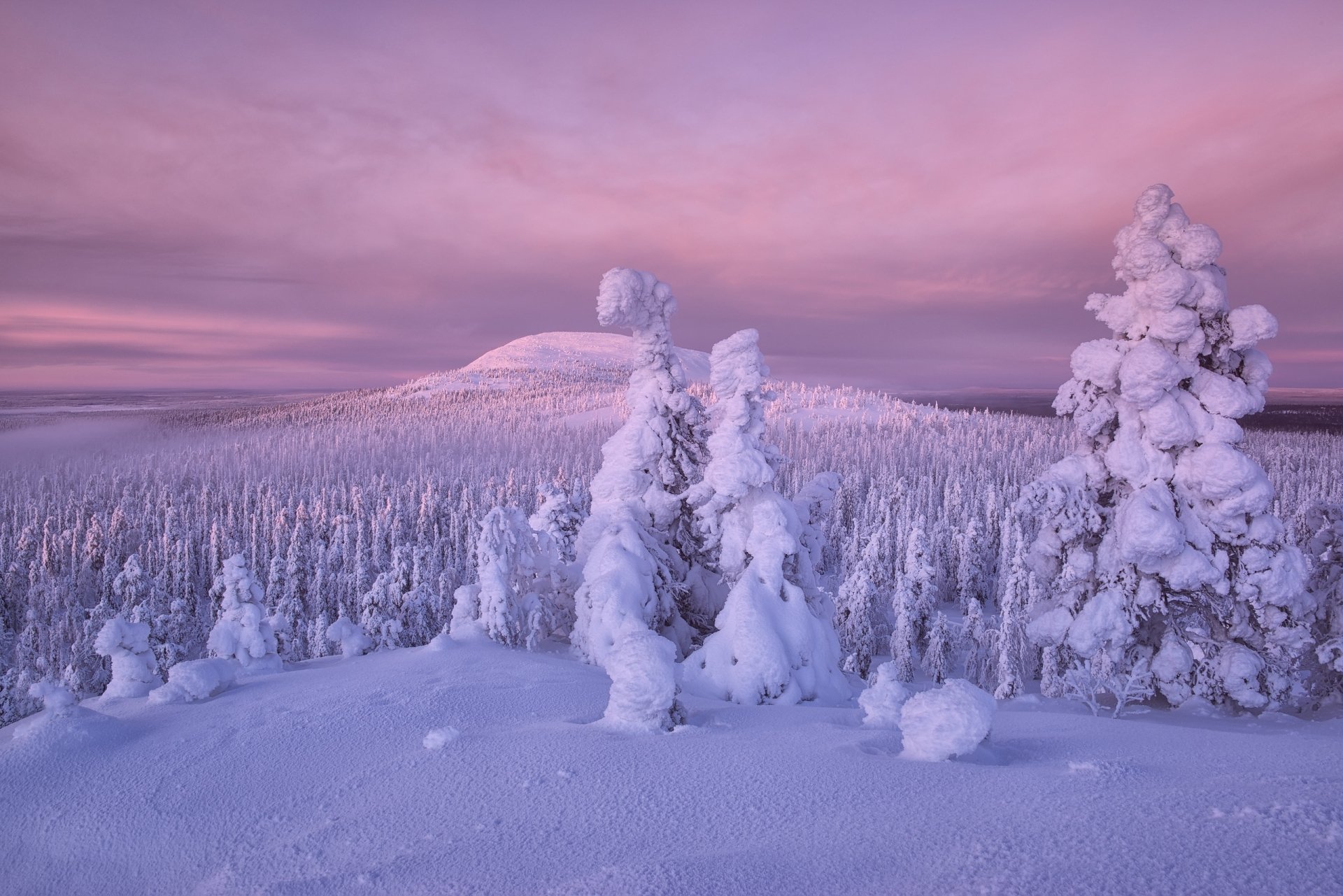 Download Nature Finland Snow Forest Winter HD Wallpaper