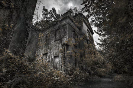 abandoned man made house HD Desktop Wallpaper | Background Image