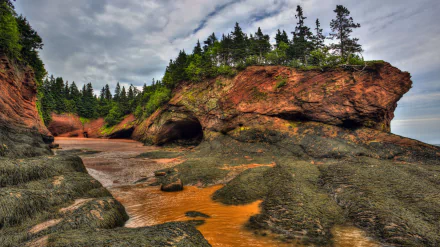  The Bay of Fundy, New Brunswick, Canada by Jamie Roach