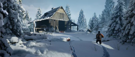 hunting snow artistic winter HD Desktop Wallpaper | Background Image
