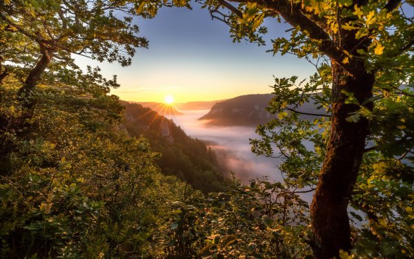 Earth Sunrise Mountain Fog Dawn Morning Germany Oak HD Wallpaper | Background Image
