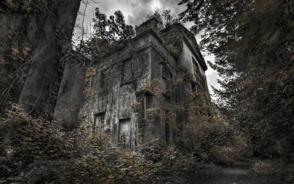 abandoned man made house HD Desktop Wallpaper | Background Image