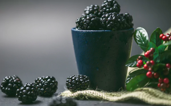 food blackberry HD Desktop Wallpaper | Background Image