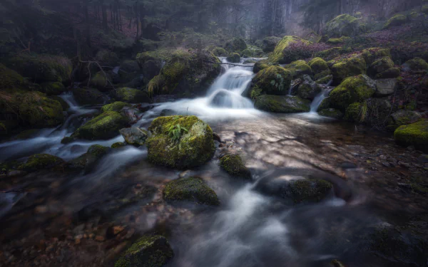 stream stone nature waterfall HD Desktop Wallpaper | Background Image