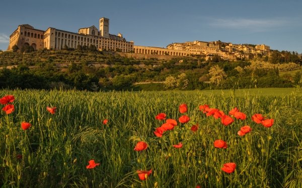 Man Made Town Towns Italy Umbria Poppy Hill Assisi HD Wallpaper | Background Image
