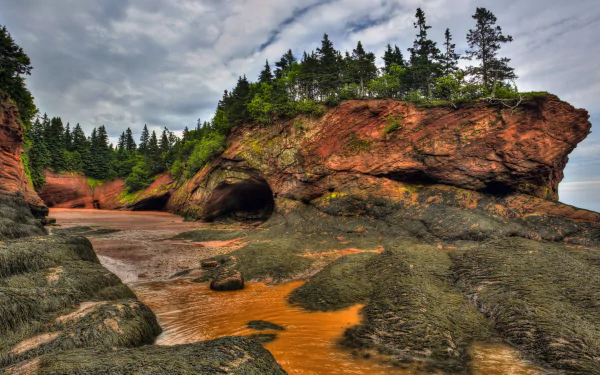  The Bay of Fundy, New Brunswick, Canada by Jamie Roach