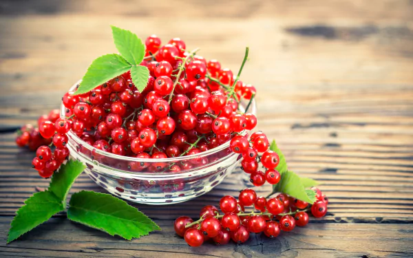 berry fruit food currants HD Desktop Wallpaper | Background Image