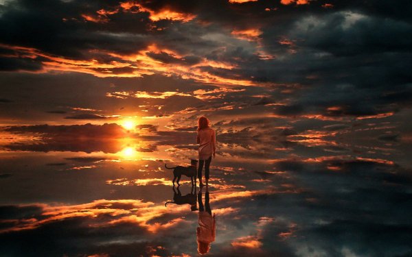 Artistic Sunset Dog Sky HD Wallpaper | Background Image