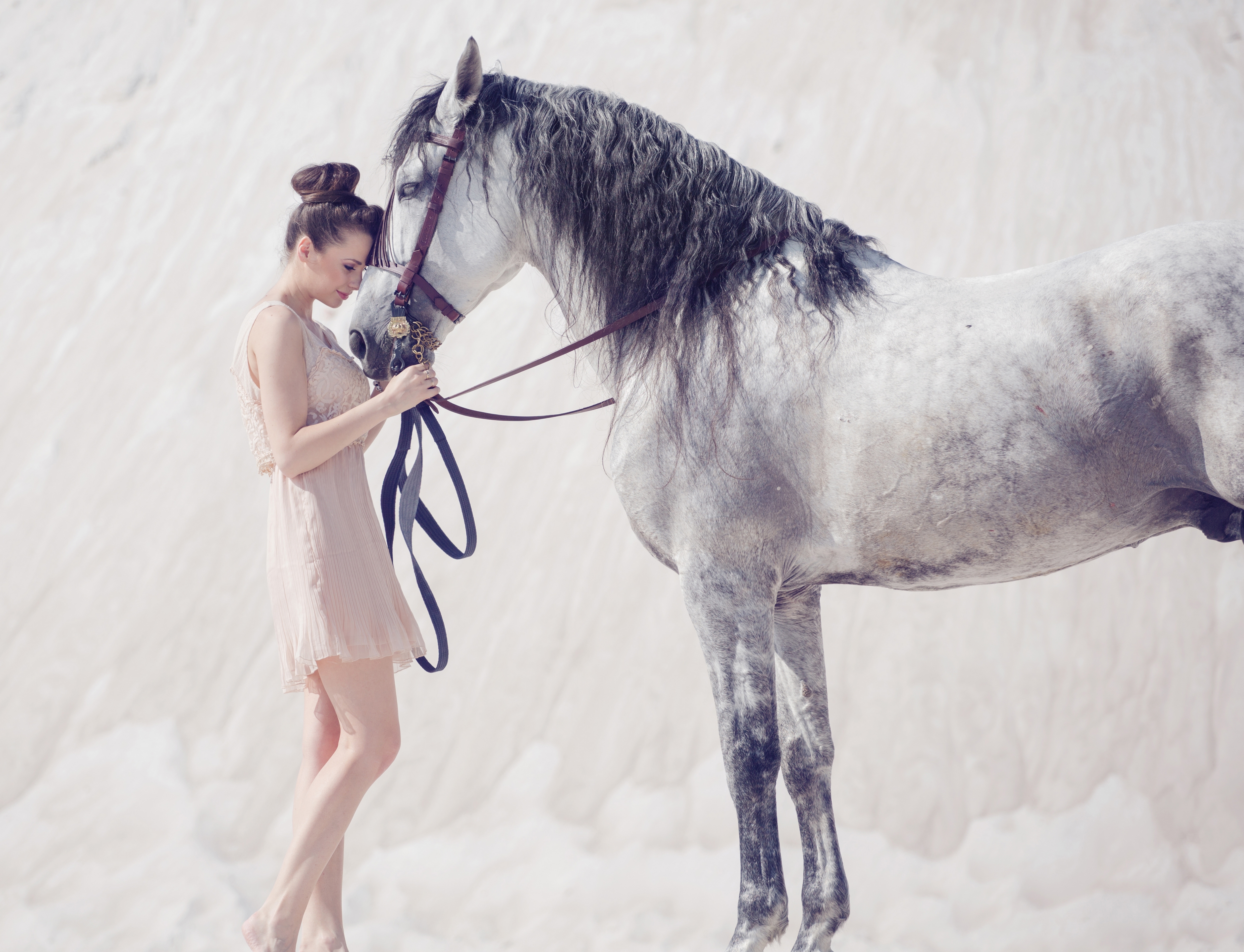 Девочки пои. Девушка с лошадью. Фотосессия с лошадью зимой. Девочка на лошади. Девушка обнимает лошадь.