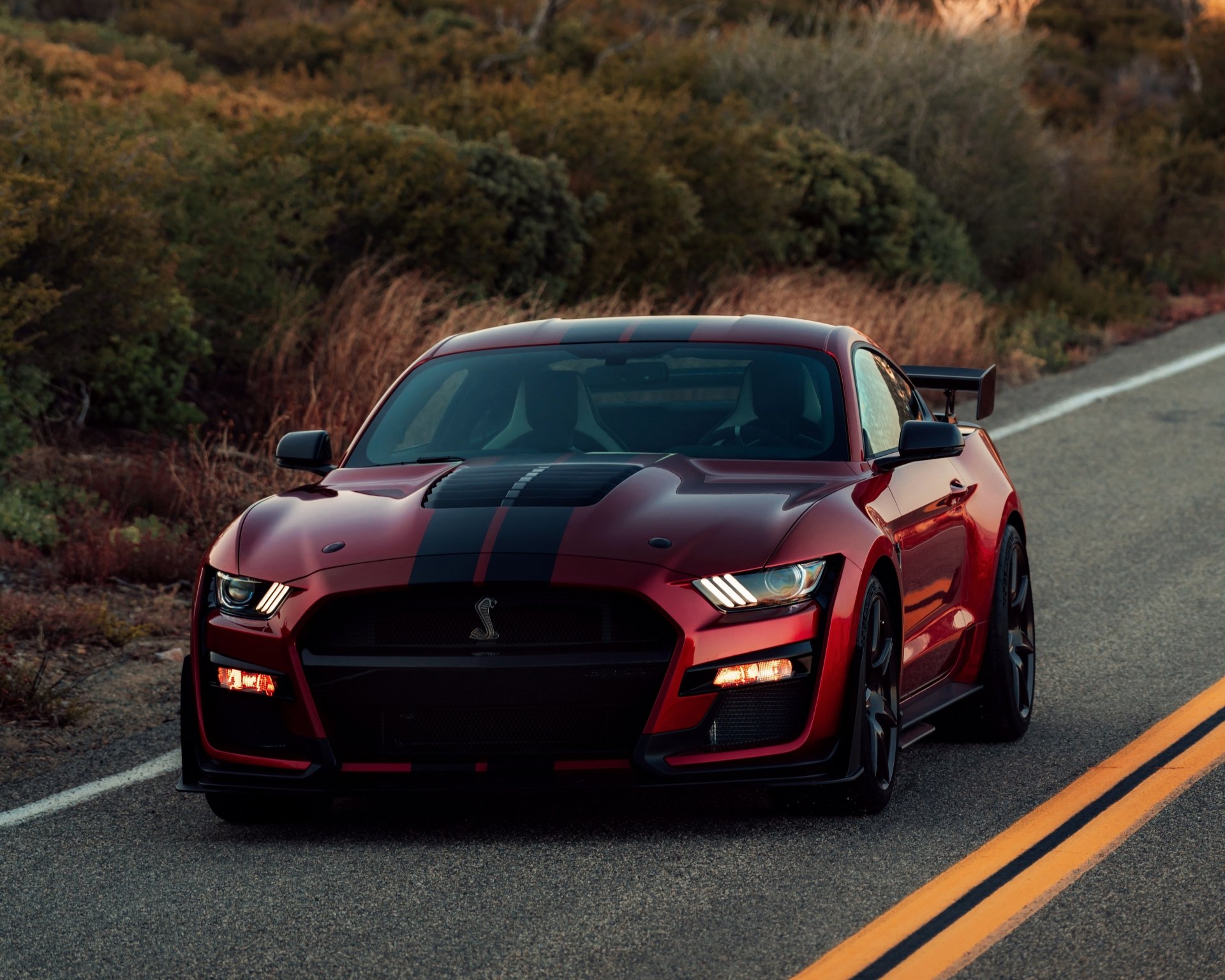 Vehicles Shelby Gt500 4k Ultra Hd Wallpaper - vrogue.co