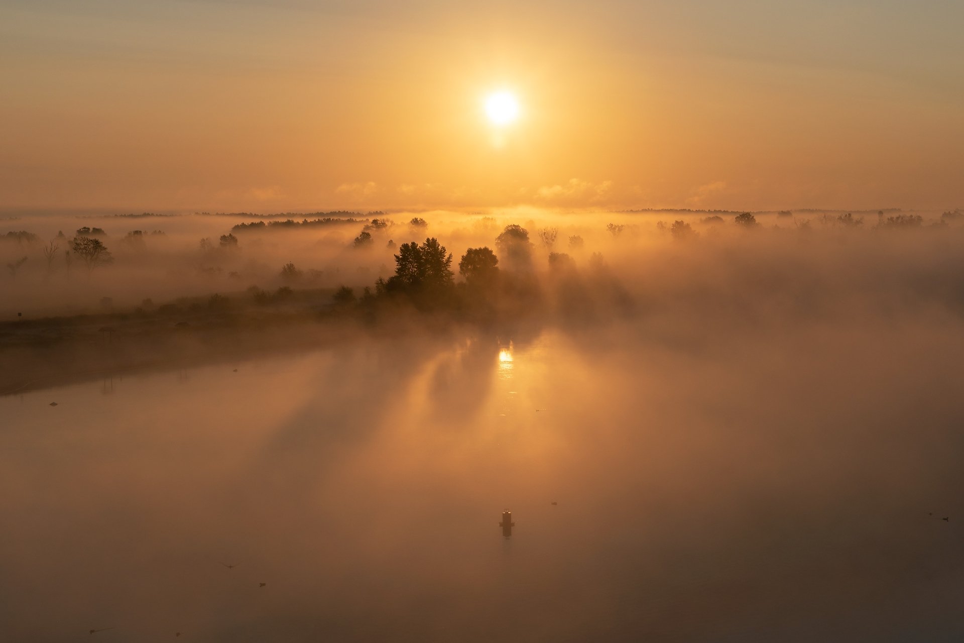 Download Fog Horizon Nature Sunrise HD Wallpaper