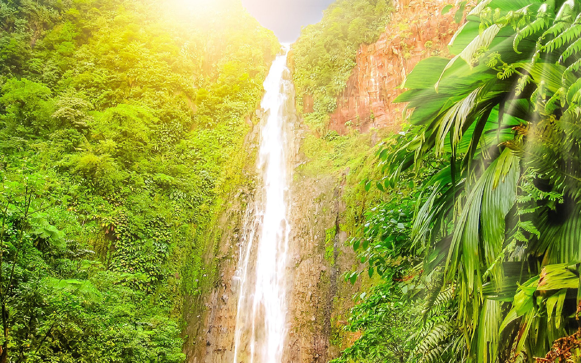 HD desktop wallpaper of a vibrant jungle thicket with a tall waterfall cascading down a rocky cliff, bathed in warm sunlight filtering through lush green foliage.