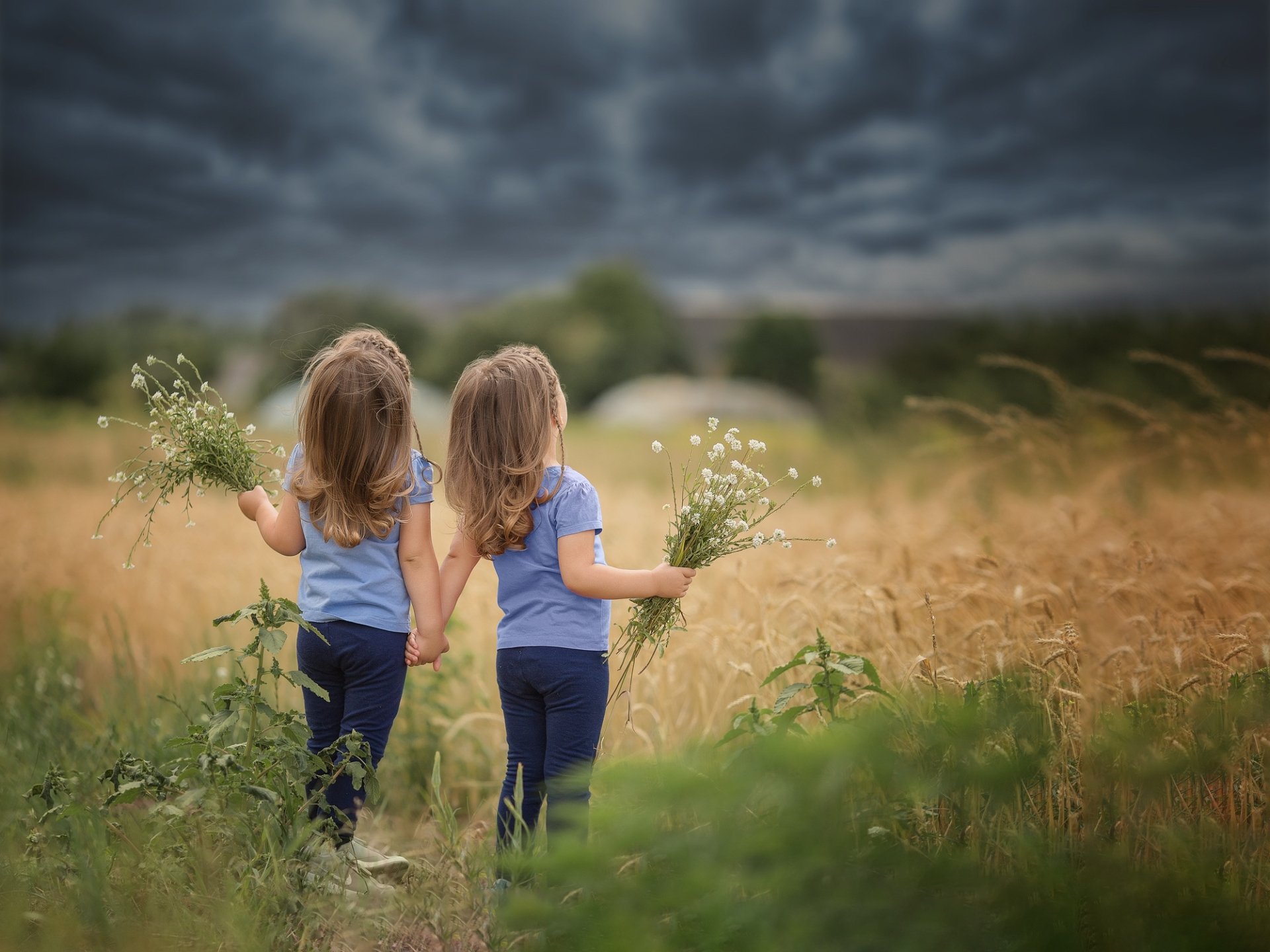 Download Flower Twins Photography Child HD Wallpaper
