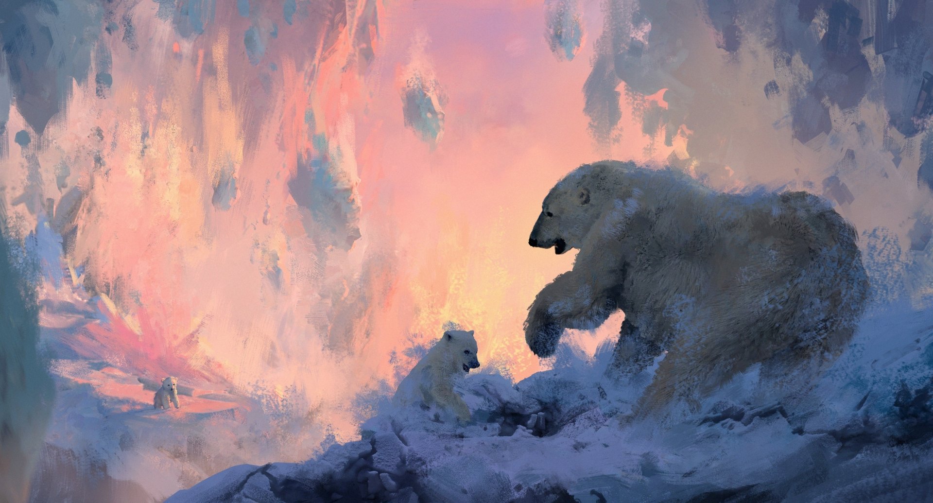 Download Animal Polar Bear HD Wallpaper by Gavin O'Donnell